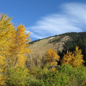 Bozeman College M Trail