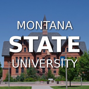 Montana State University