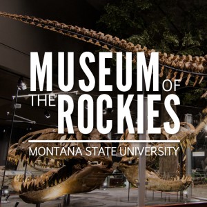 Museum Of The Rockies